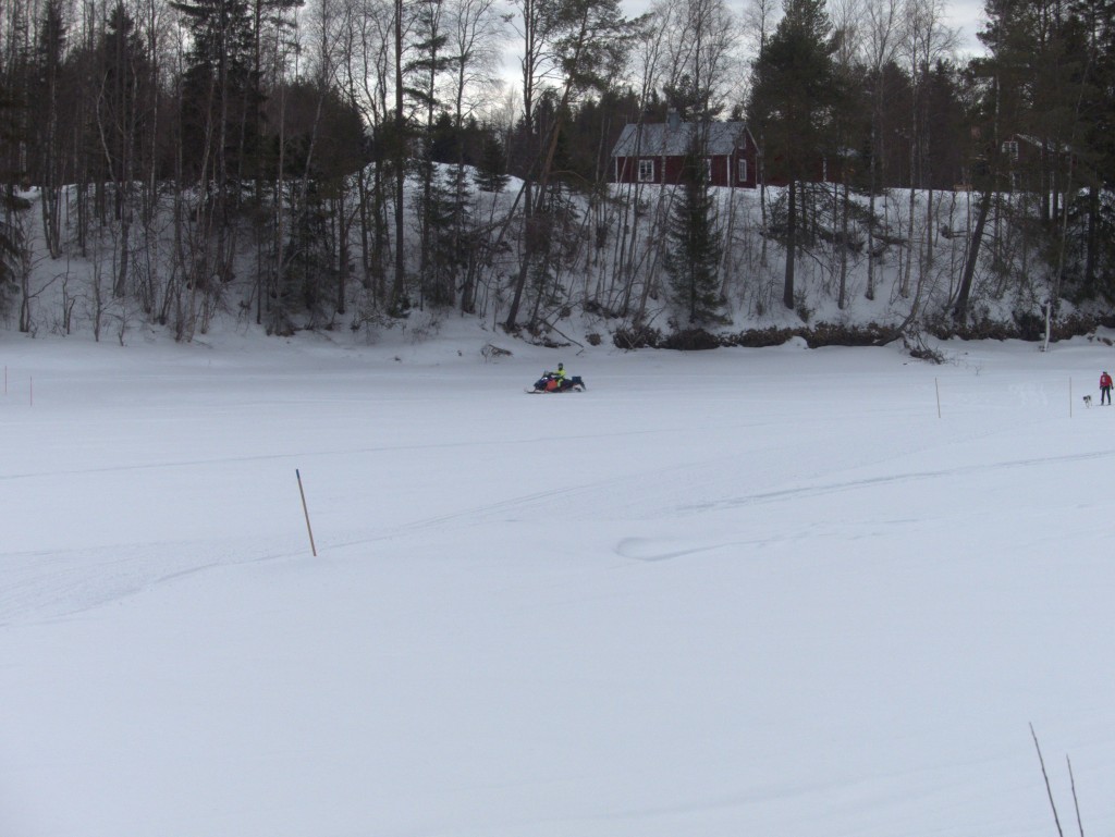 P1070022.jpg