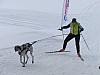 P1070027.jpg P1070027.jpg