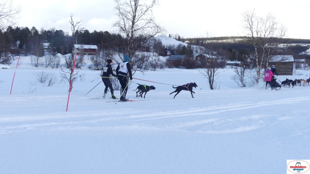 P1070592_resultat.jpg