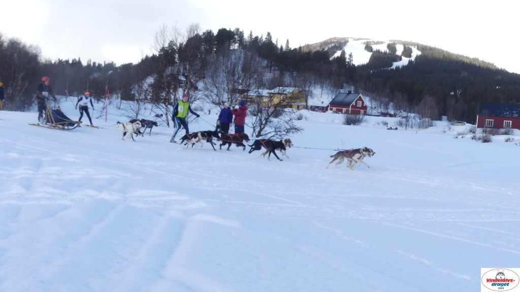 P1070593_resultat.jpg