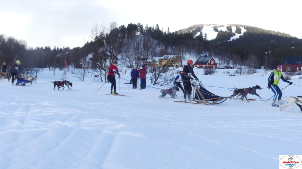 P1070594_resultat.jpg