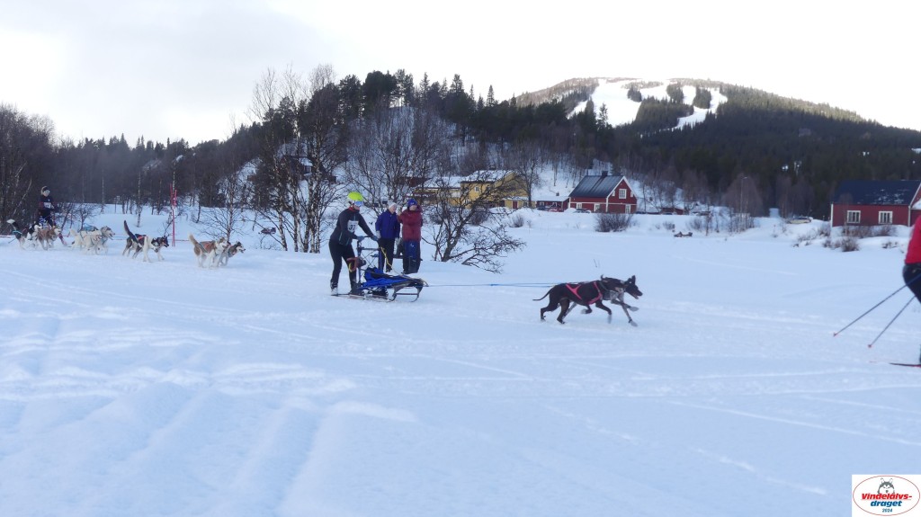 P1070595_resultat.jpg