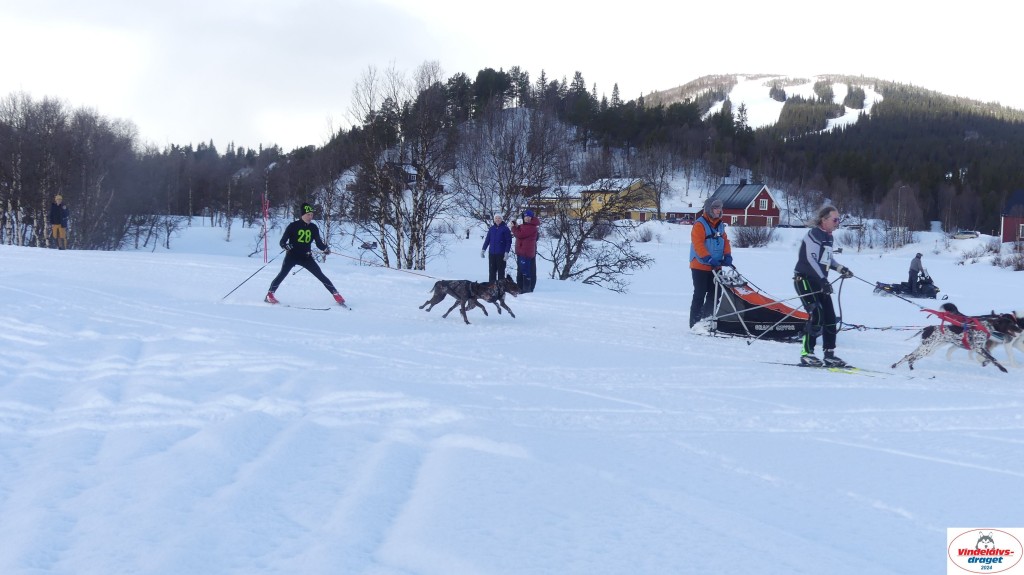P1070597_resultat.jpg
