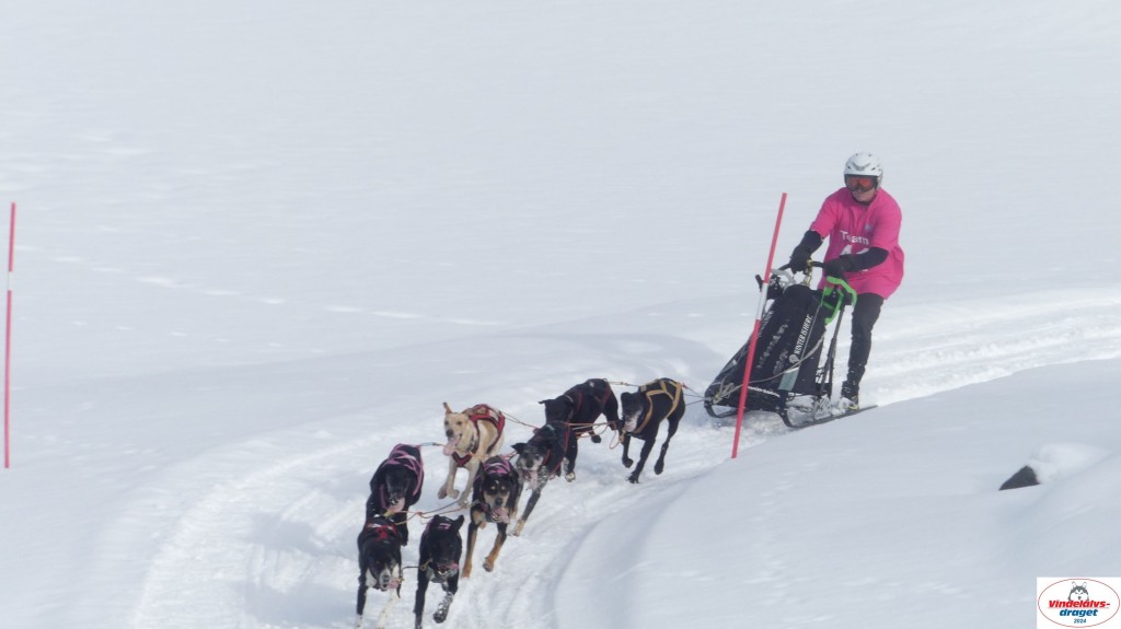 P1070606_resultat.jpg