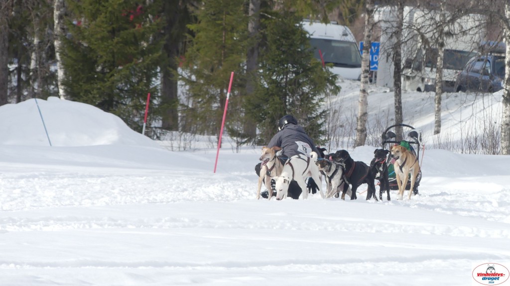 P1070613_resultat.jpg