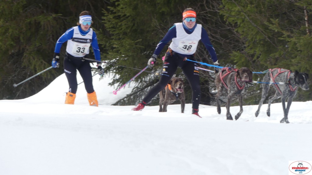 P1070627_resultat.jpg