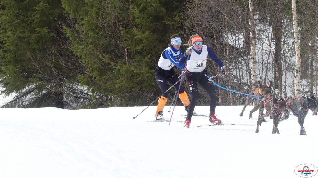 P1070629_resultat.jpg