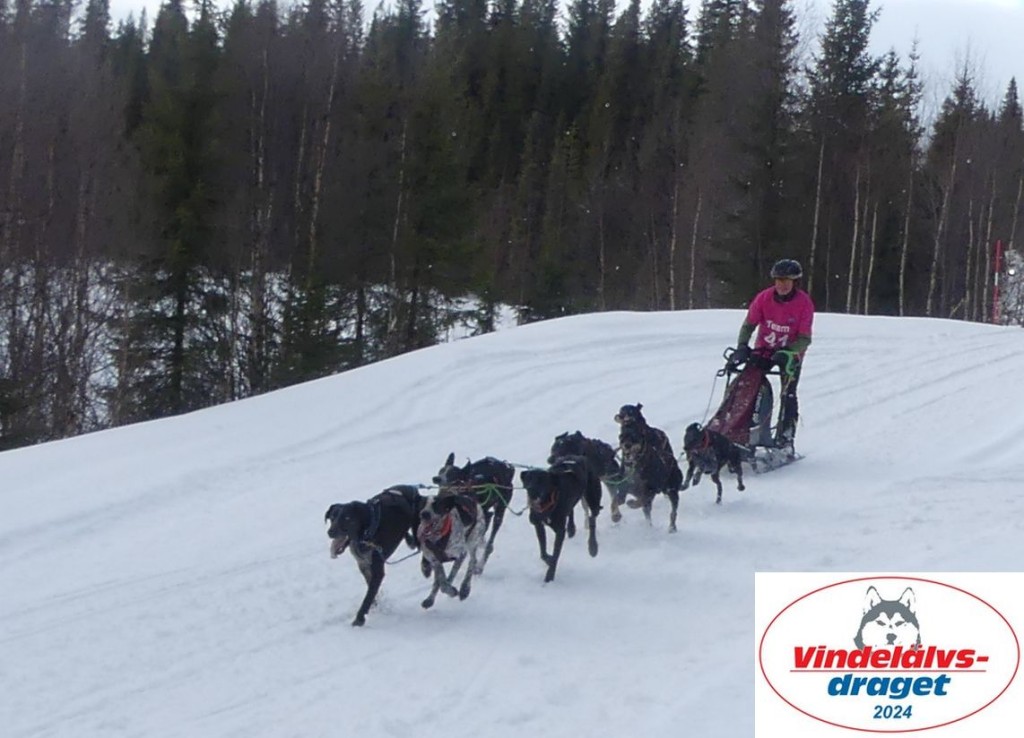 P1070636_cr_resultat.jpg