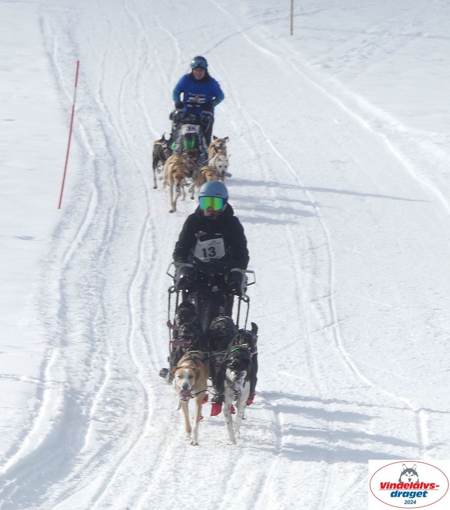 P1070650_cr_resultat.jpg