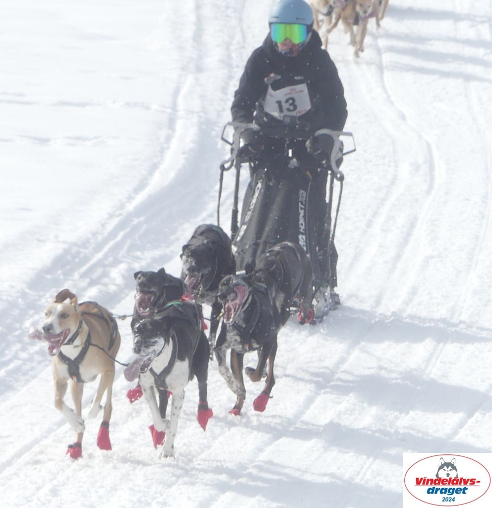 P1070651_cr_resultat.jpg