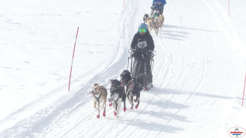 P1070651_resultat.jpg