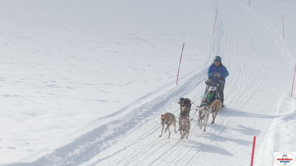 P1070653_resultat.jpg