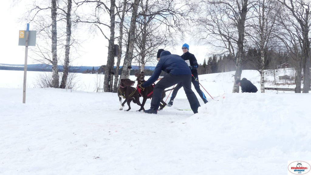 P1070659_resultat.jpg
