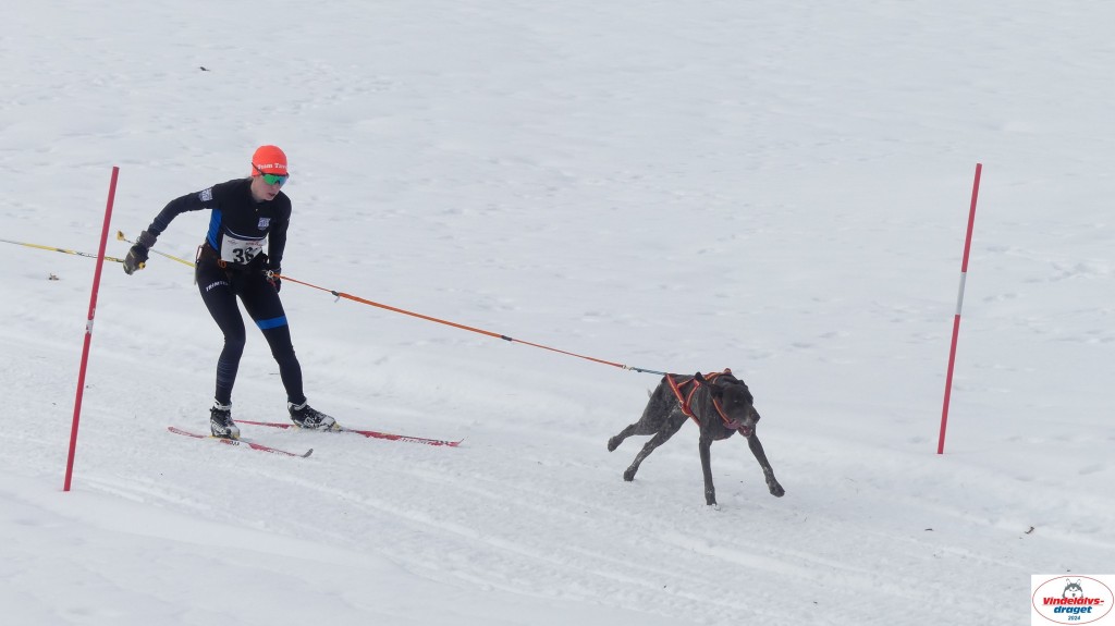 P1070667_resultat.jpg