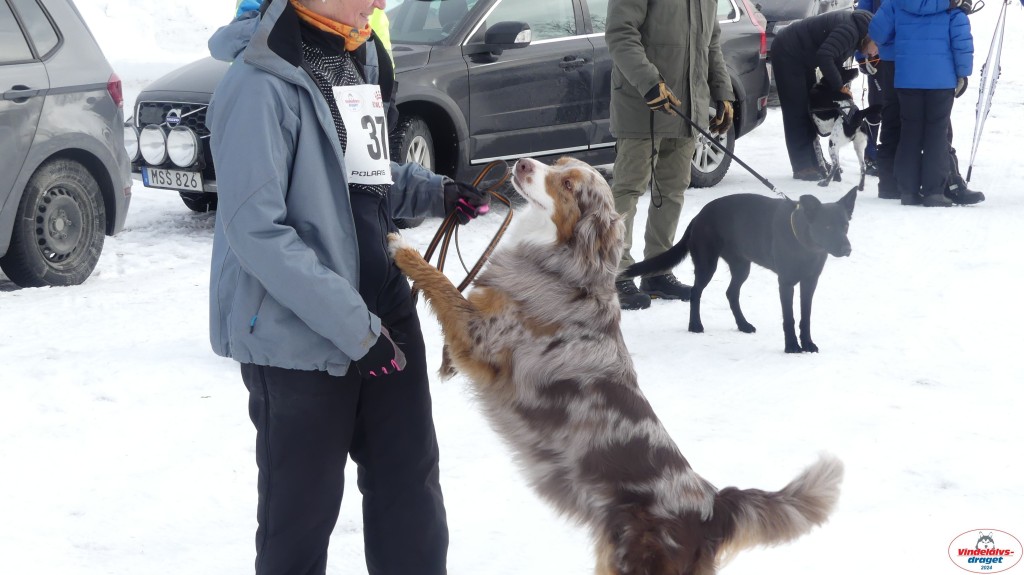 P1070671_resultat.jpg