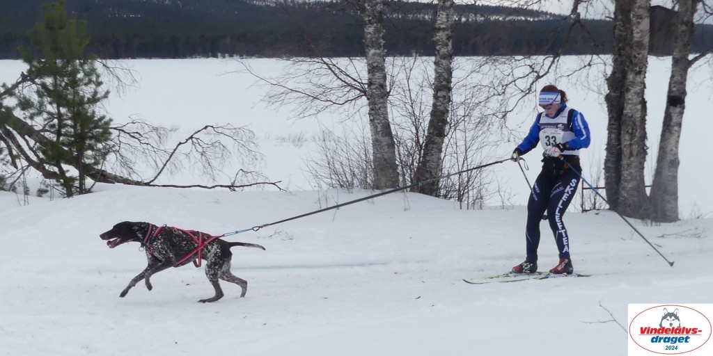 P1070693_cr_resultat.jpg