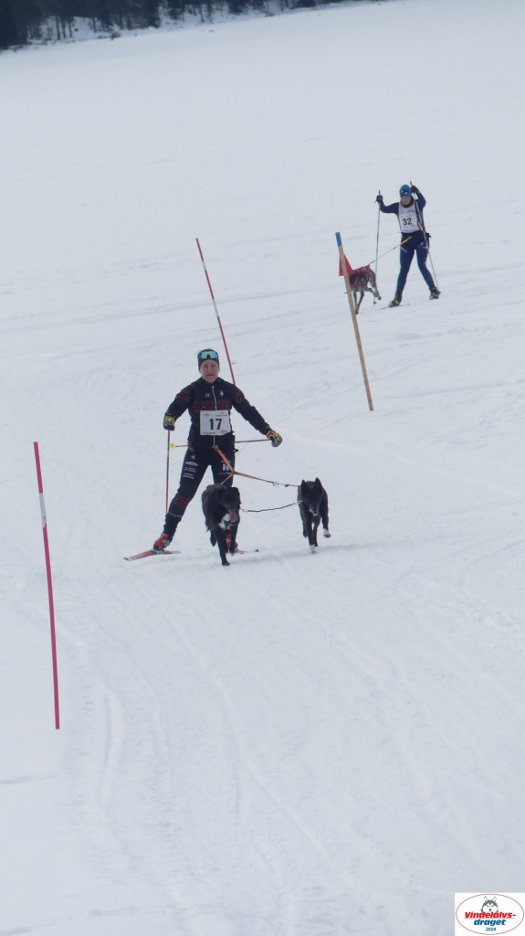 P1070712_resultat.jpg