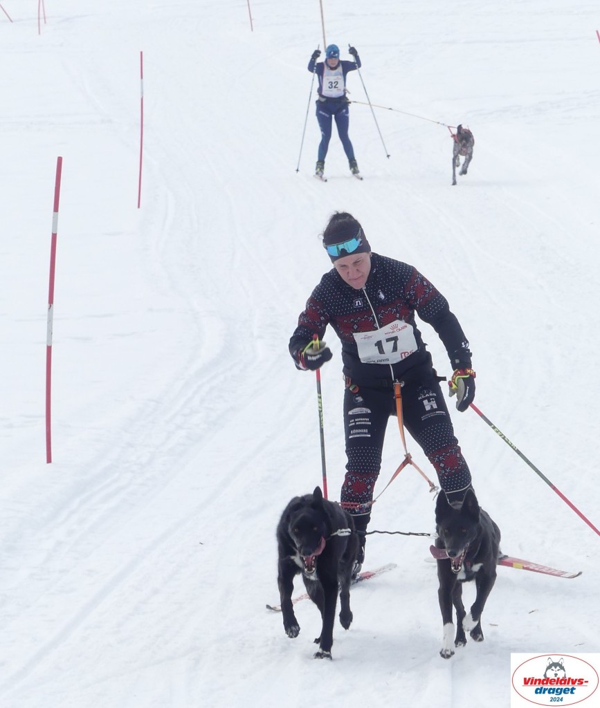 P1070714_cr_resultat.jpg