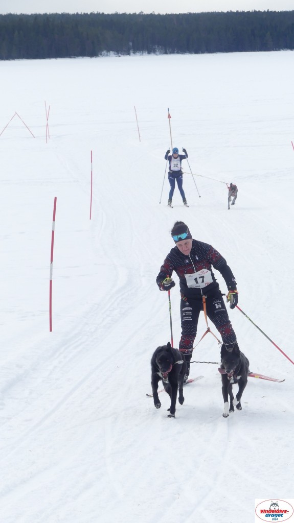 P1070714_resultat.jpg