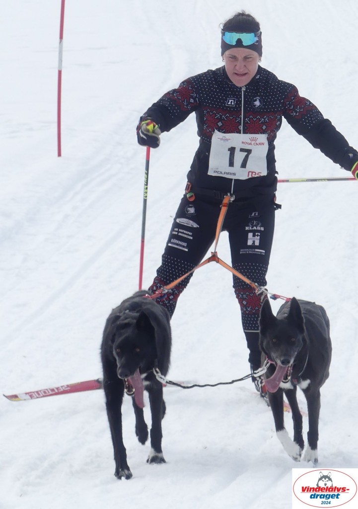 P1070715_cr_resultat.jpg