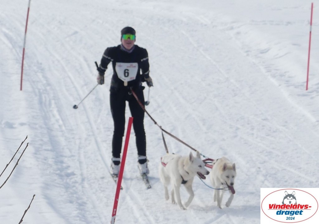 P1070728_cr_resultat.jpg