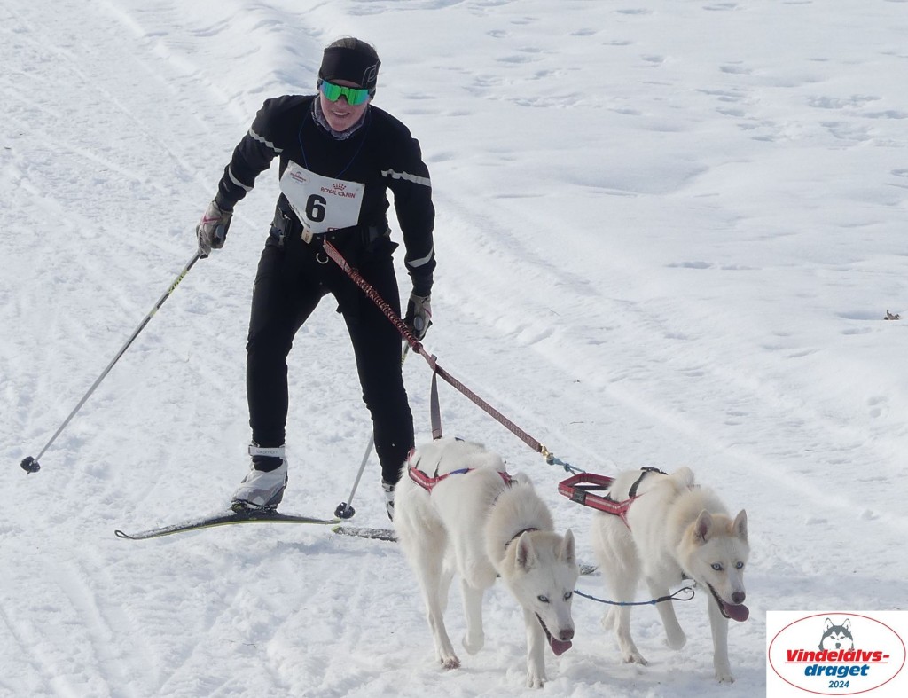 P1070729_cr_resultat.jpg