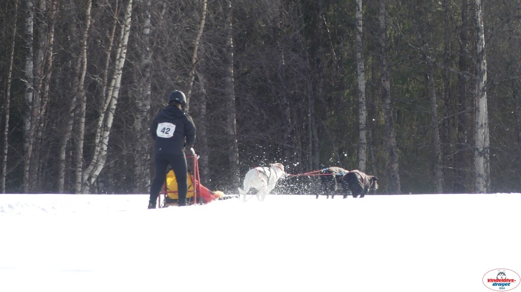 P1070759_resultat.jpg