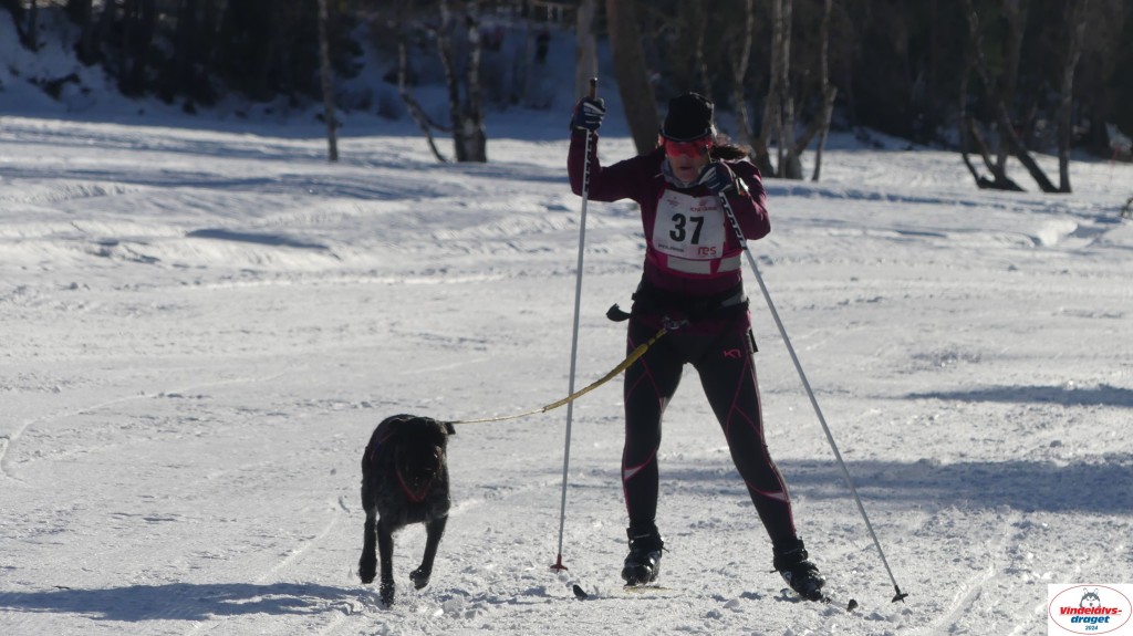 P1070766_resultat.jpg