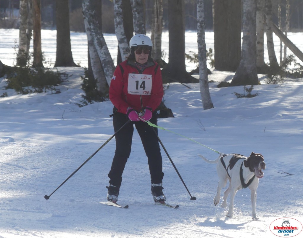 P1070773_cr_resultat.jpg