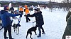 P1070573_resultat.jpg