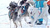 P1070582_resultat.jpg