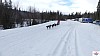 P1070636_resultat.jpg