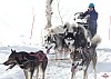 P1070727_cr_resultat.jpg