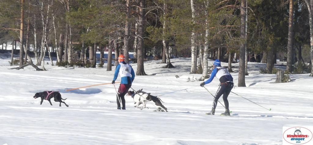P1070821_cr_resultat.jpg