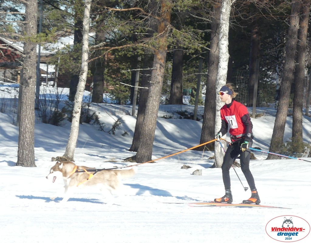 P1070825_cr_resultat.jpg