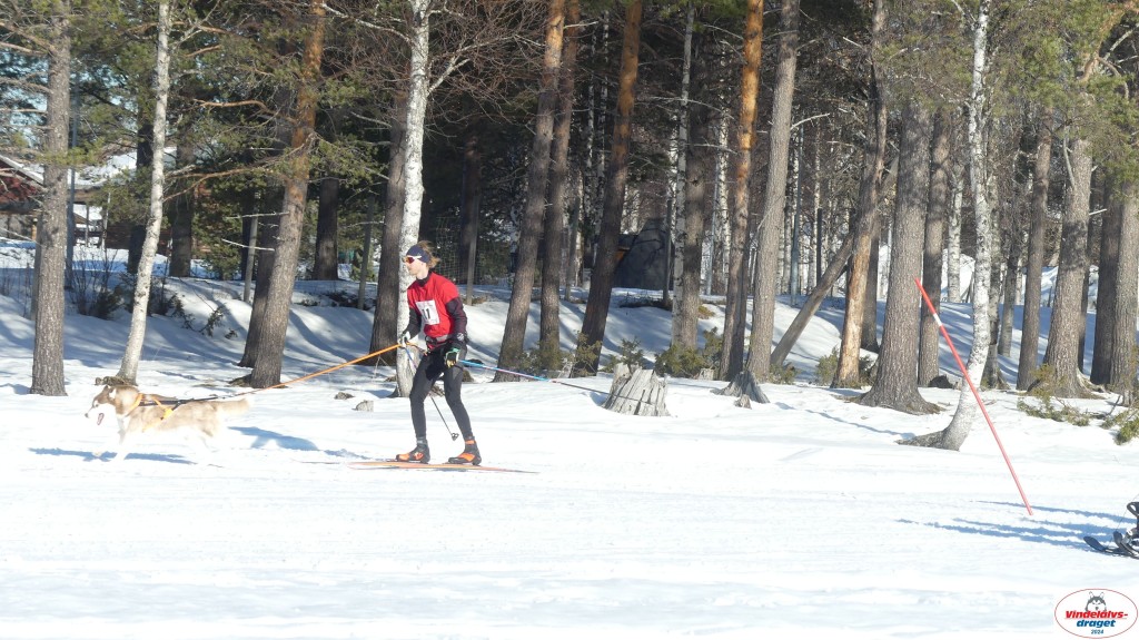 P1070825_resultat.jpg