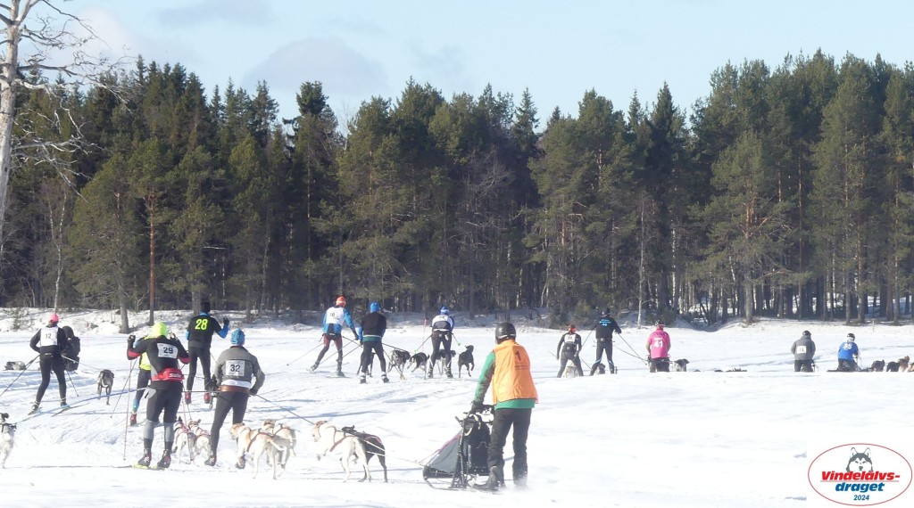 P1070826_cr_resultat.jpg