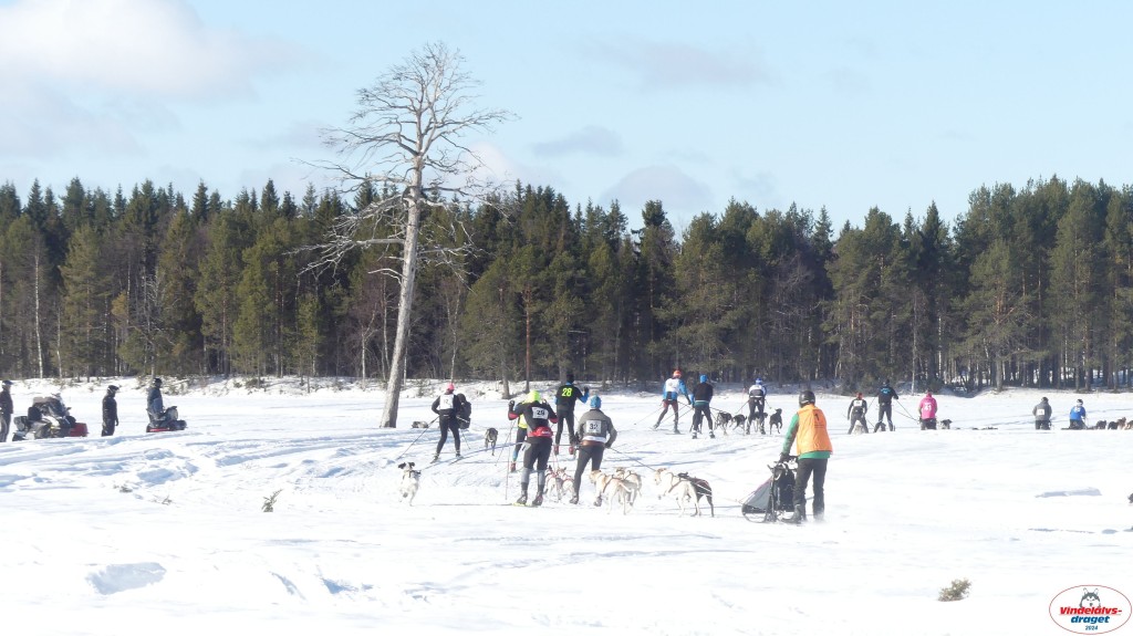 P1070826_resultat.jpg