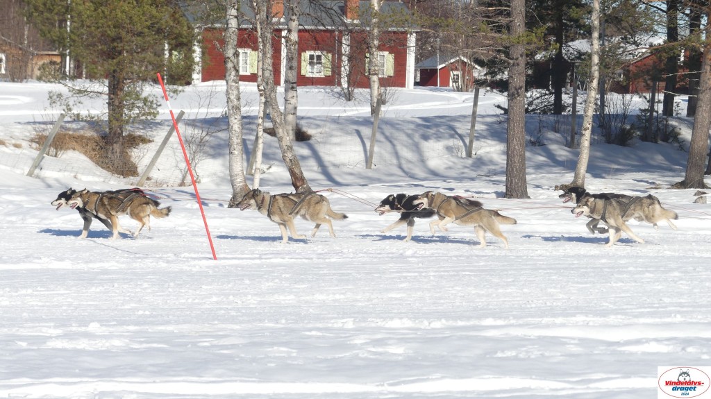 P1070827_resultat.jpg