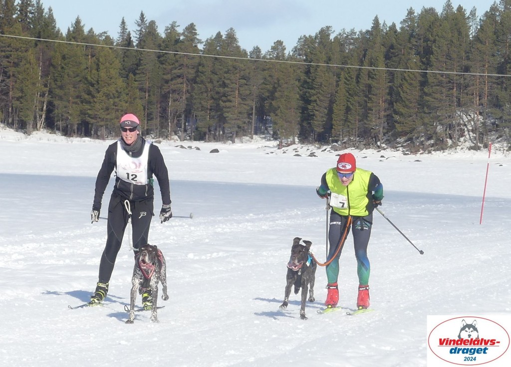 P1070869_cr_resultat.jpg