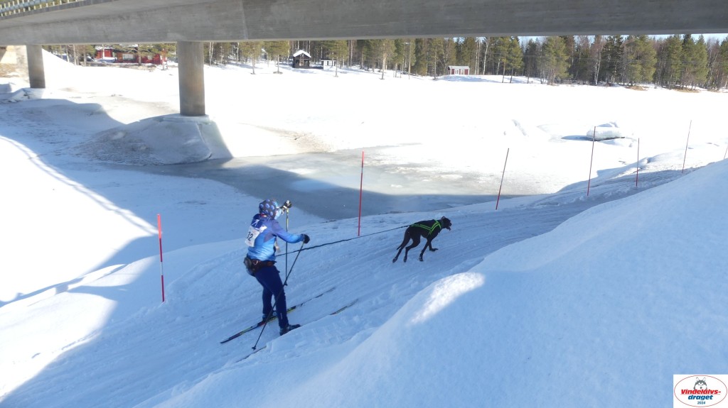 P1070900_resultat.jpg