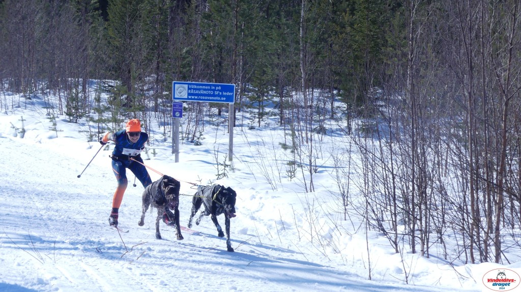 P1070908_resultat.jpg