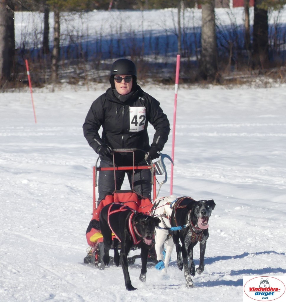 P1070948_cr_resultat.jpg