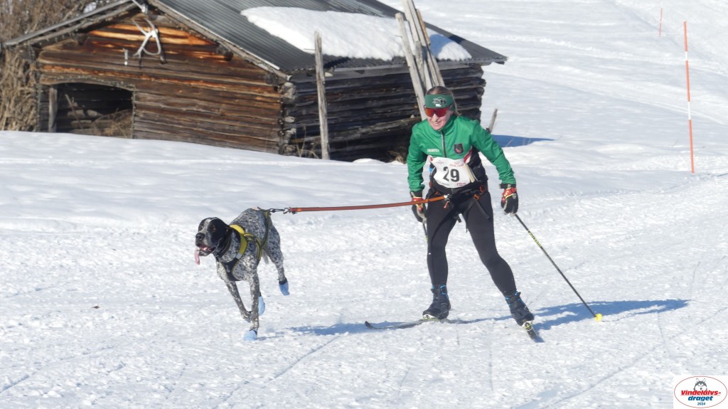 P1070963_resultat.jpg