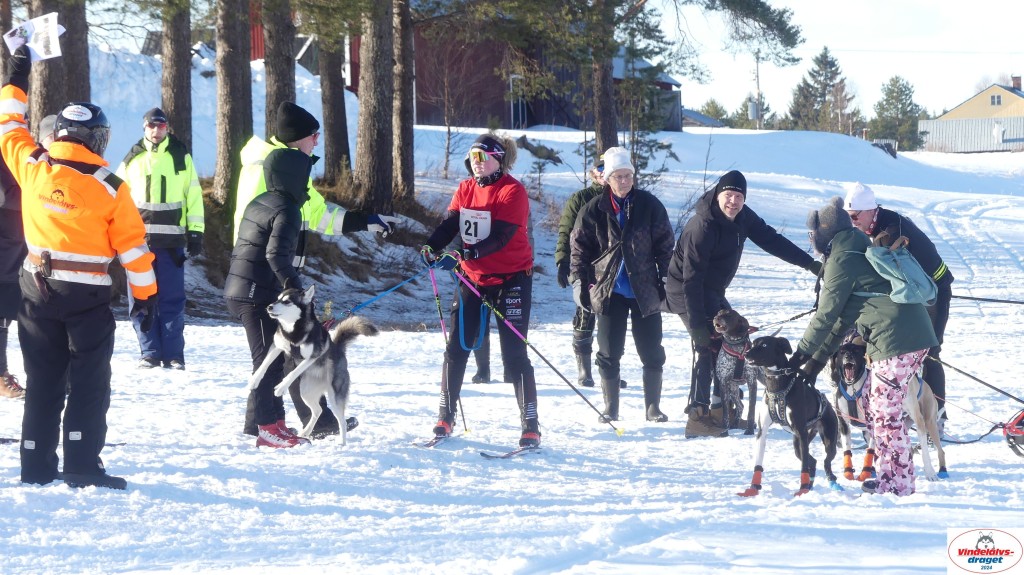 P1070982_resultat.jpg