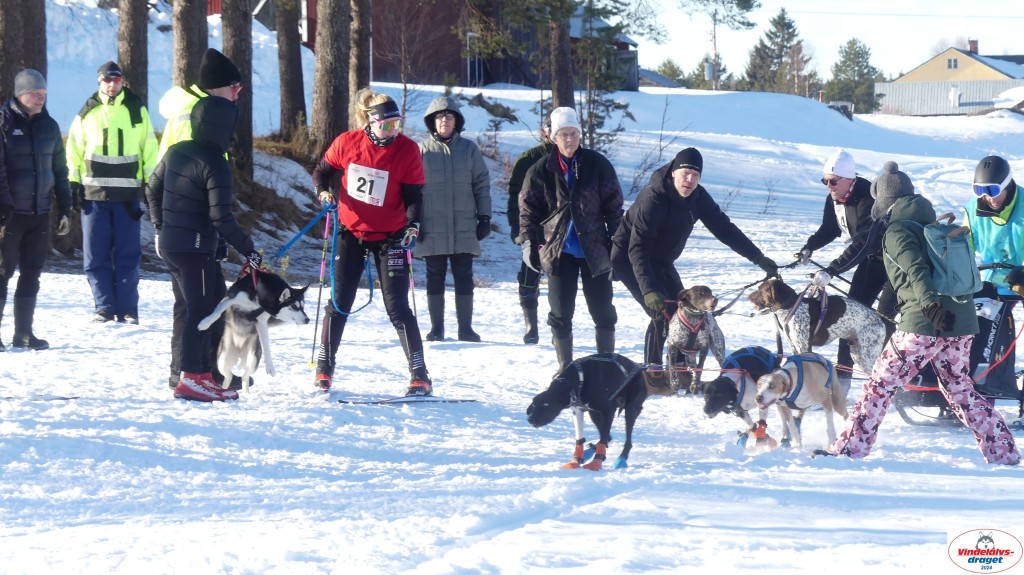 P1070983_resultat.jpg