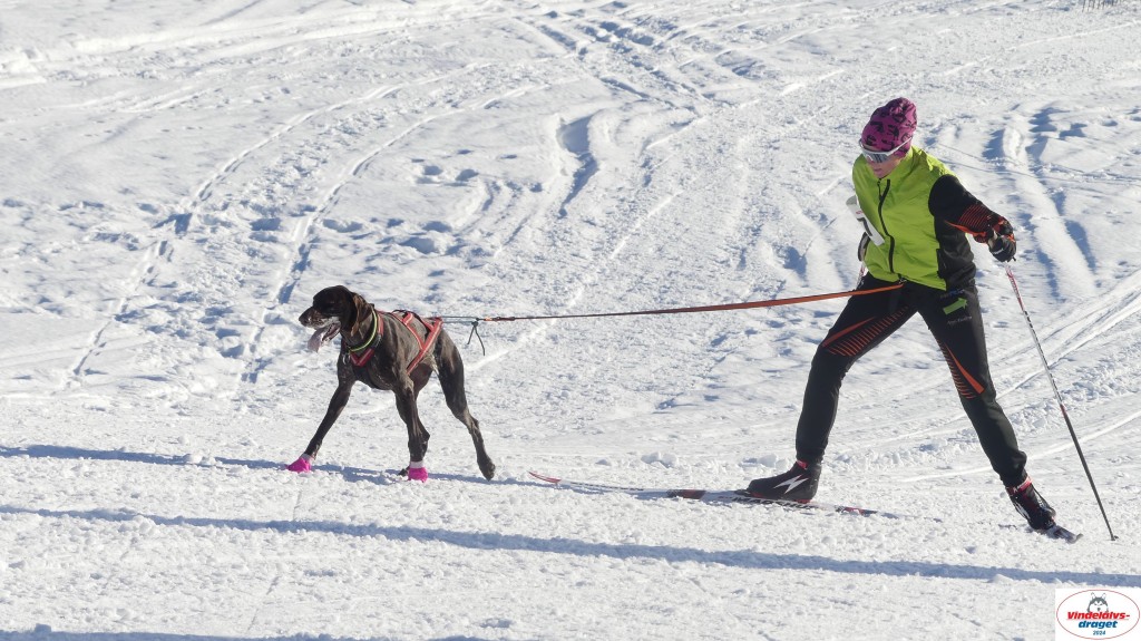 P1070990_resultat.jpg