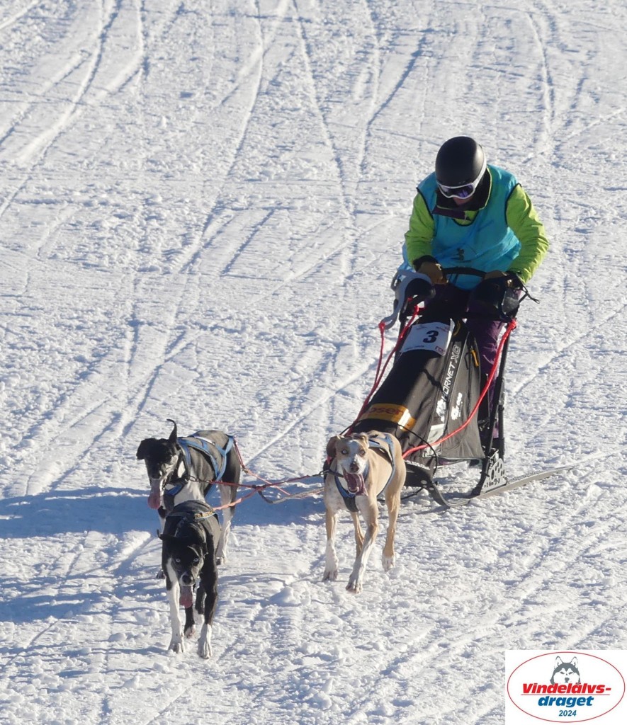 P1080022_cr_resultat.jpg