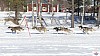 P1070827_resultat.jpg P1070827_resultat.jpg
