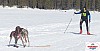 P1070868_cr_resultat.jpg P1070868_cr_resultat.jpg